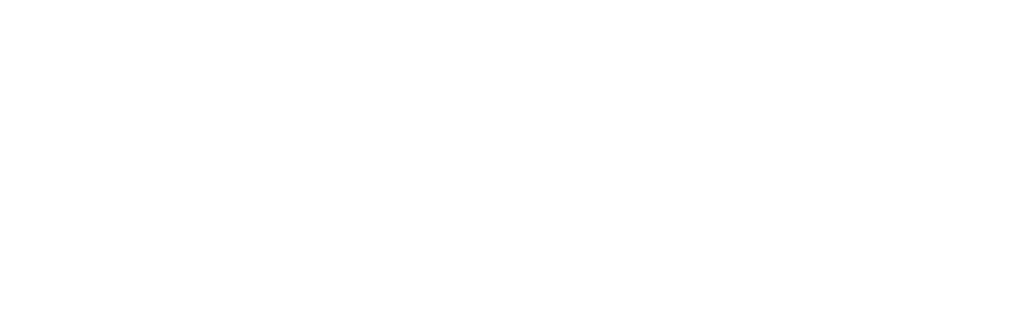 Payload Logo